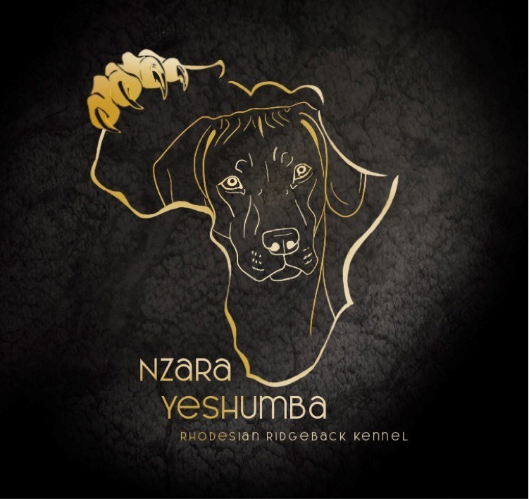 Nzara Yeshumba